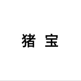 猪宝