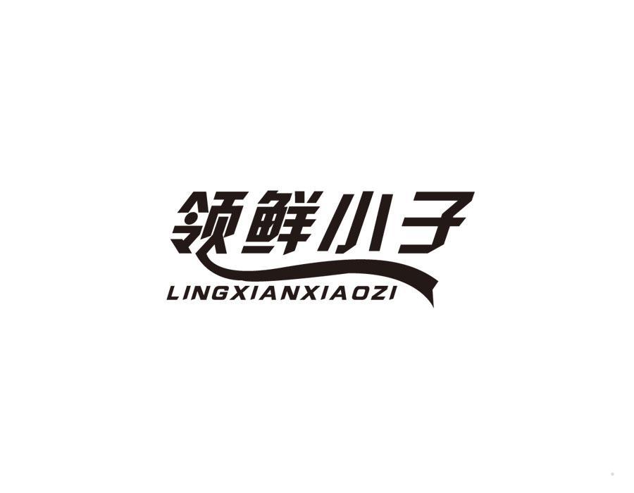 领鲜小子
