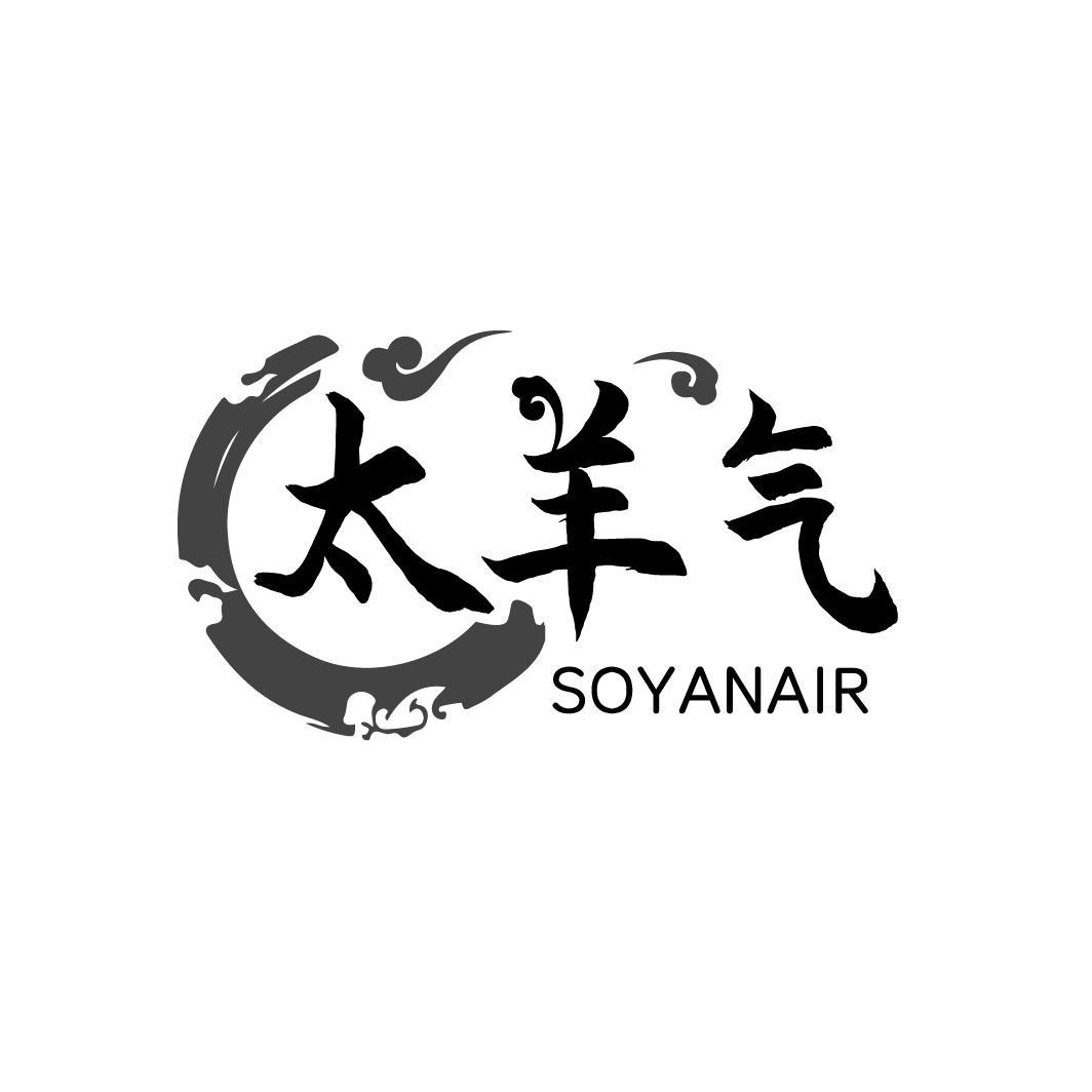 太羊气 SOYANAIR
