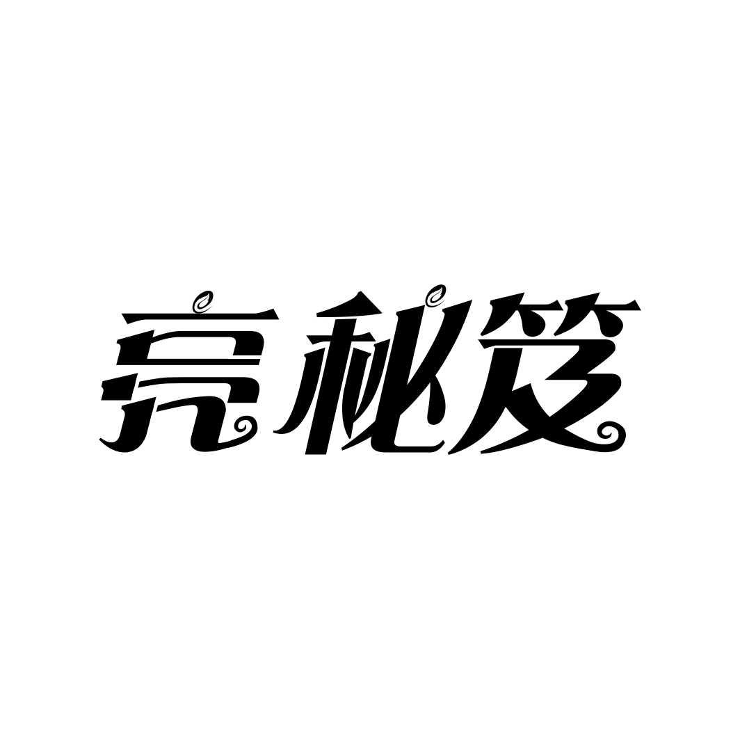 亮秘笈