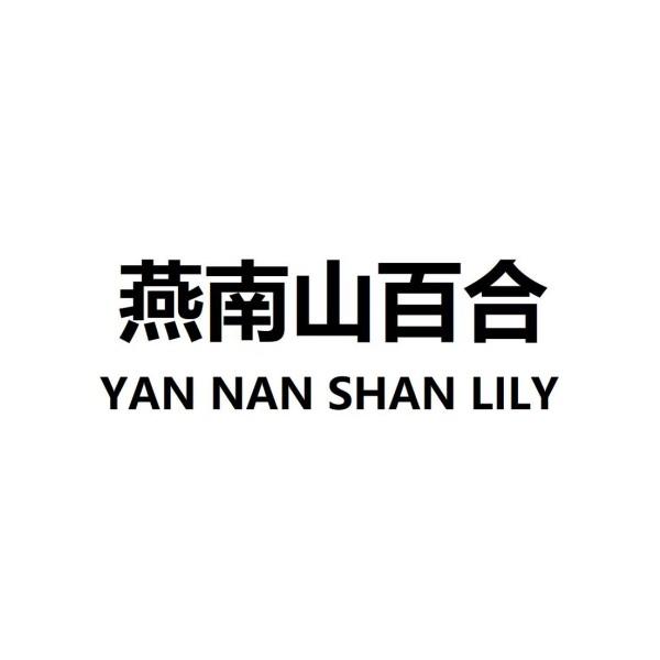 燕南山百合 YAN NAN SHAN LILY