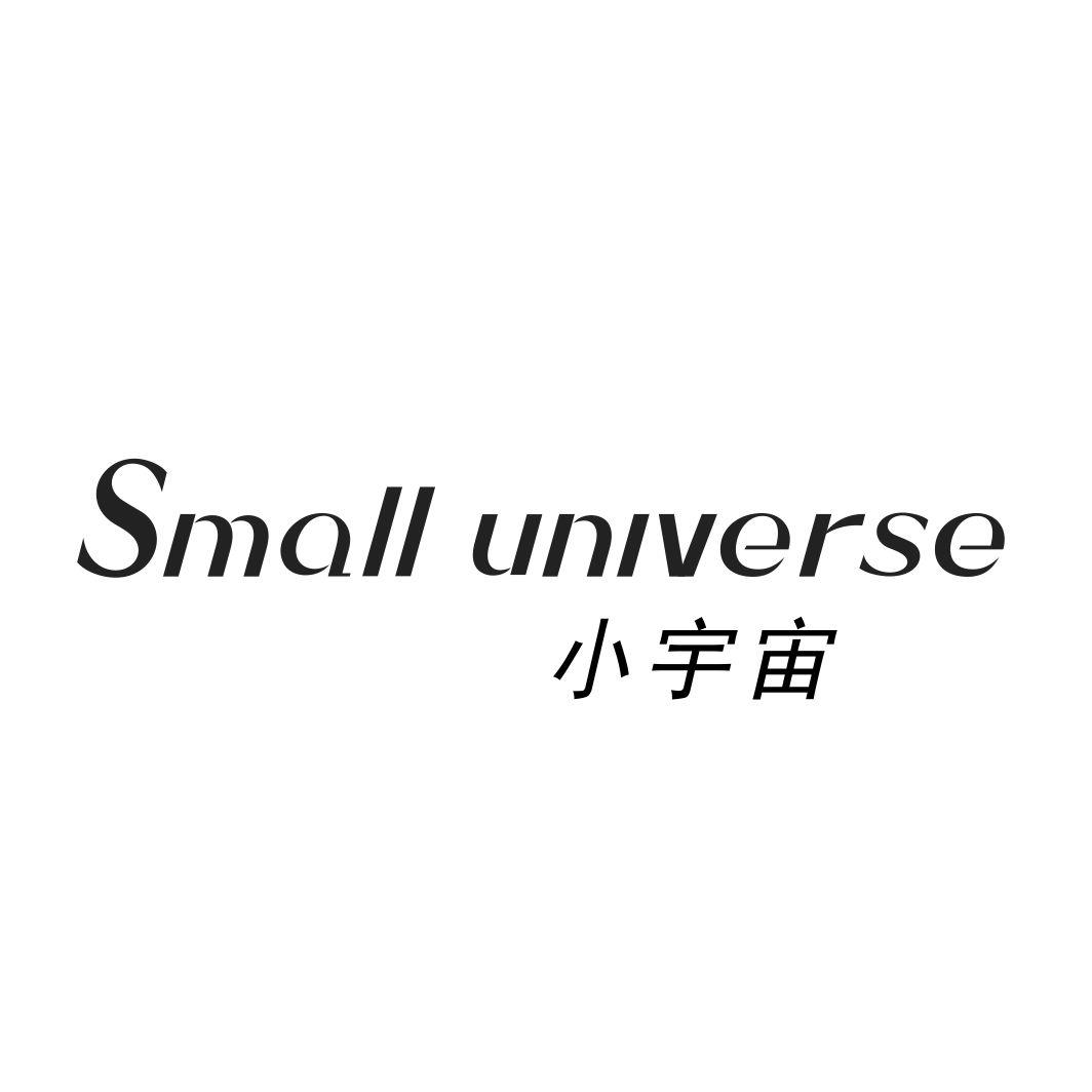 小宇宙 SMALL UNIVERSE