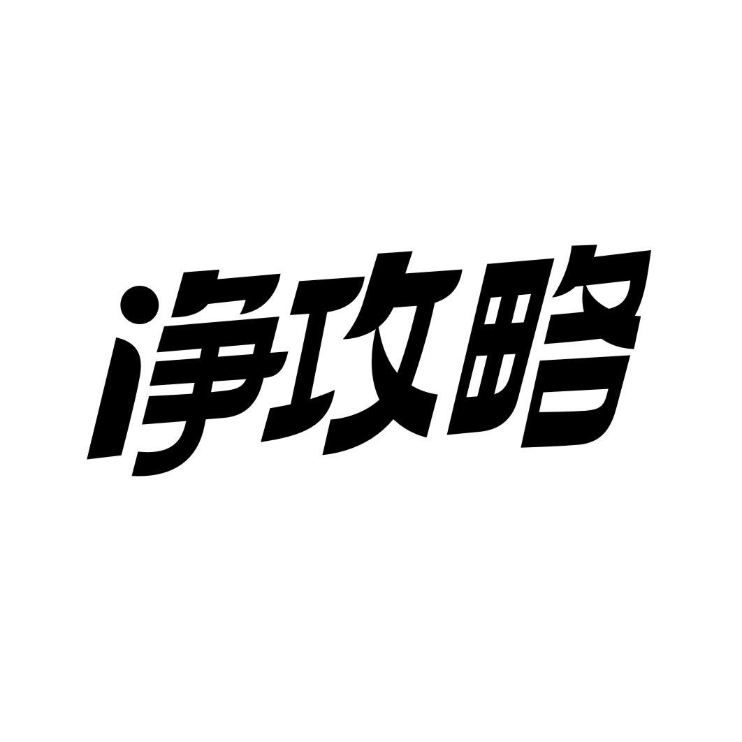 净攻略