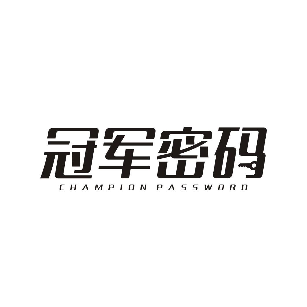 冠军密码 CHAMPION PASSWORD