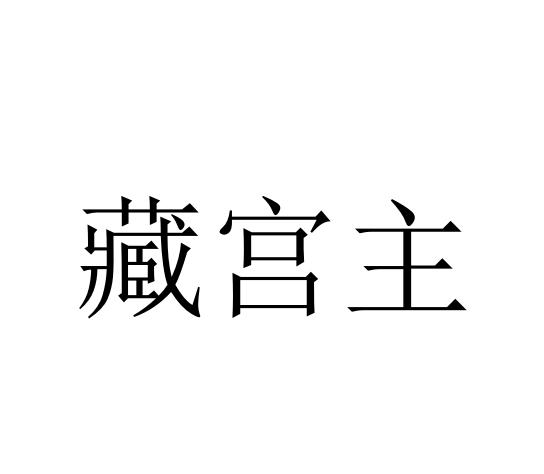 藏宫主