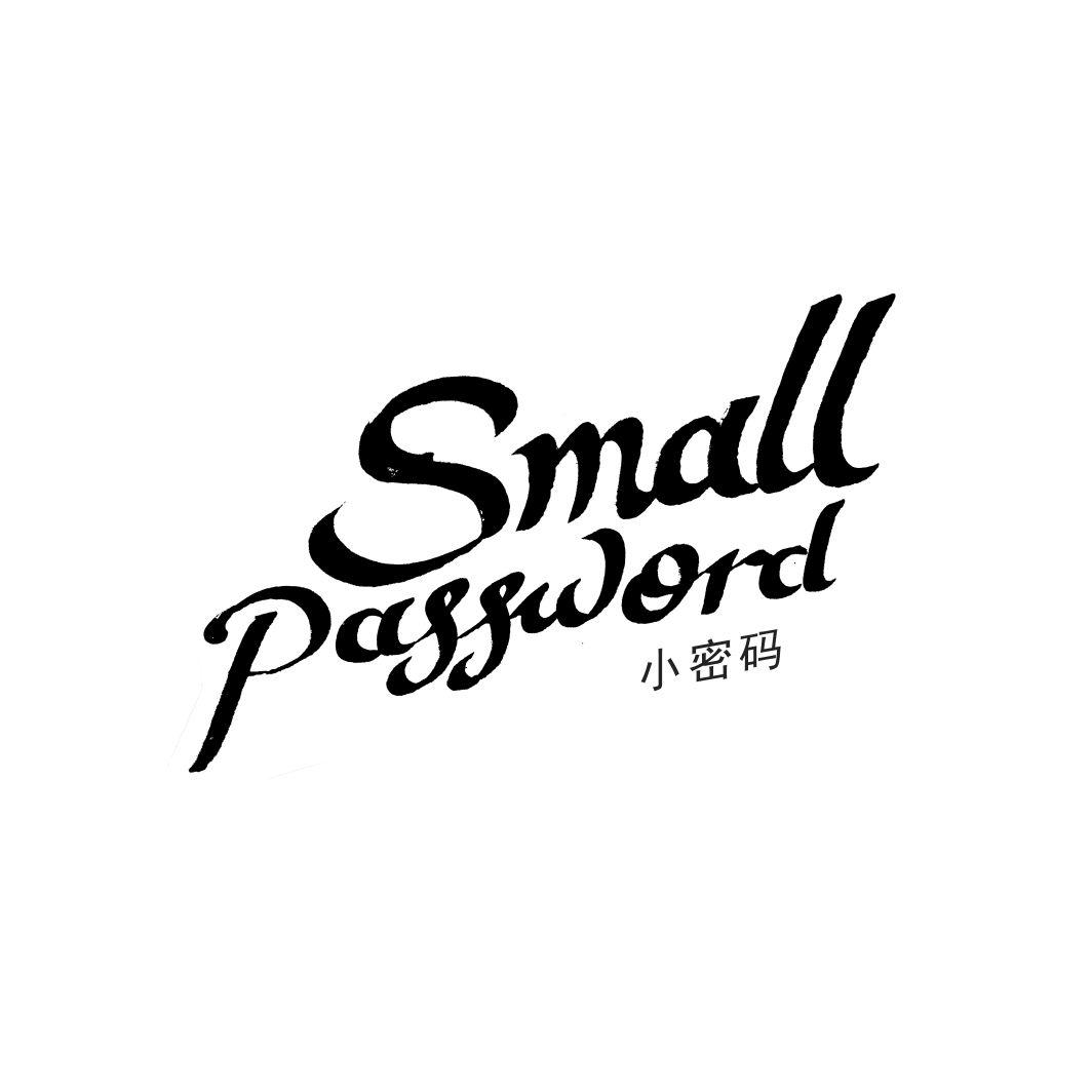 小密码 SMALL PASSWORD