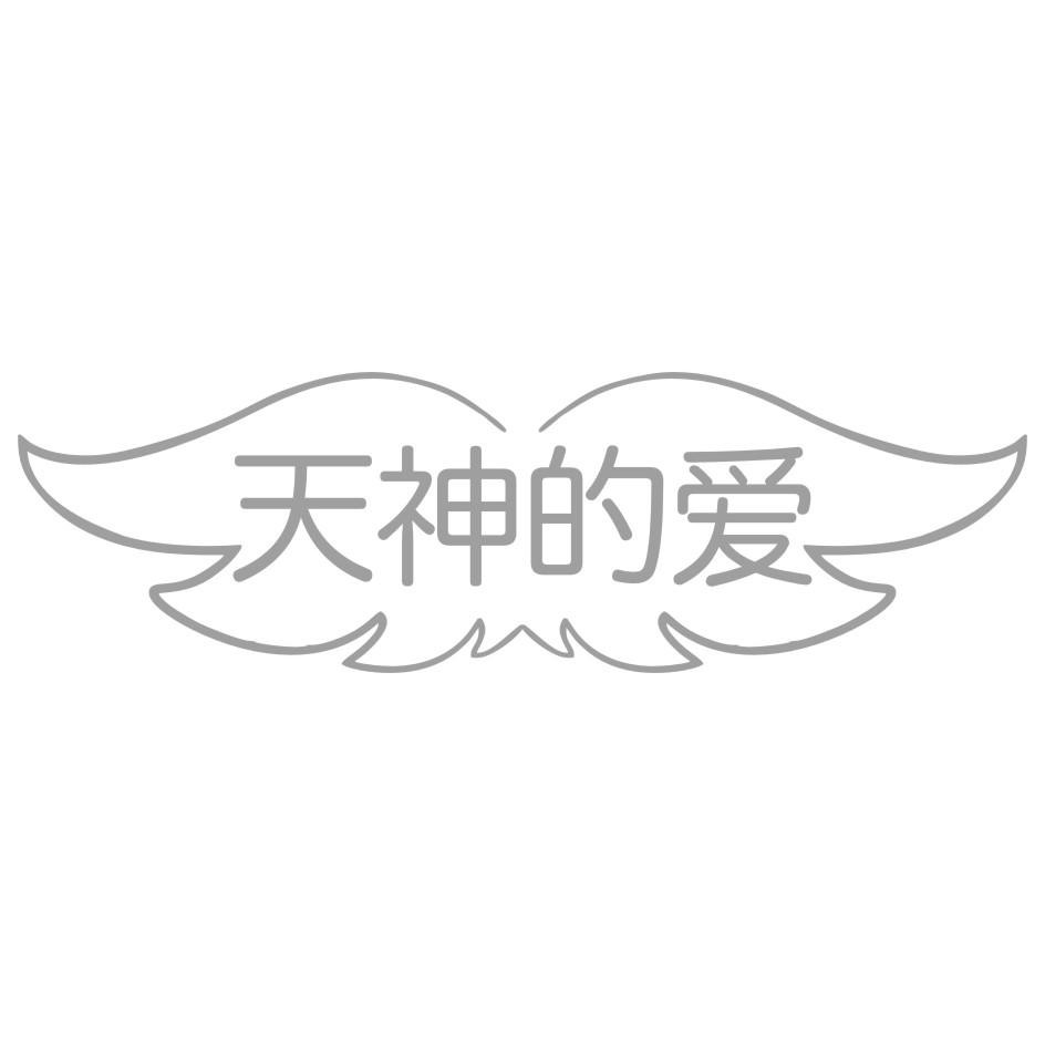 天神的爱