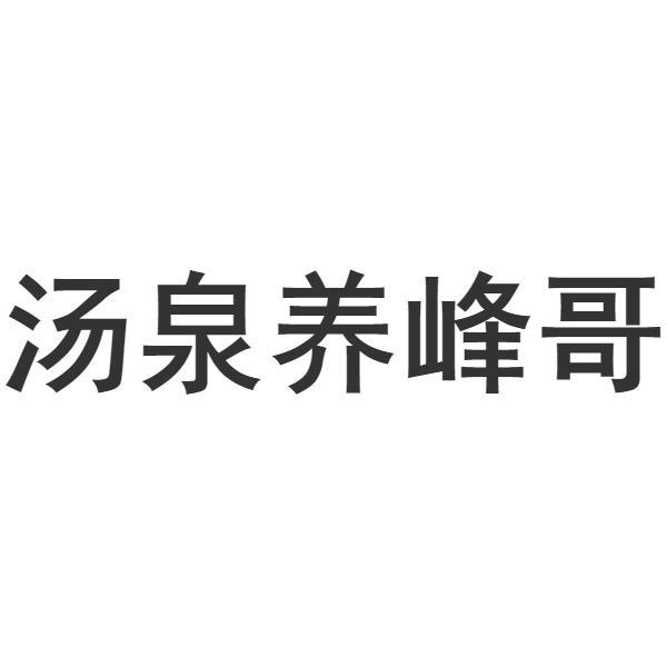 汤泉养峰哥