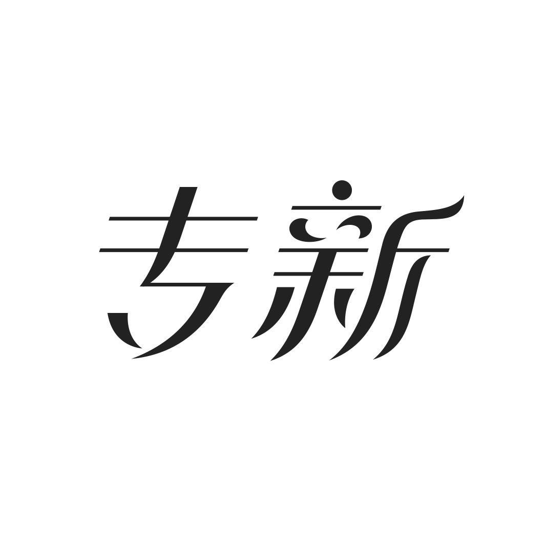 专新