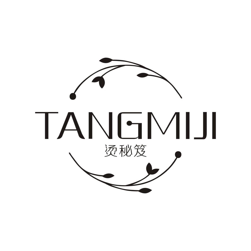 烫秘笈
