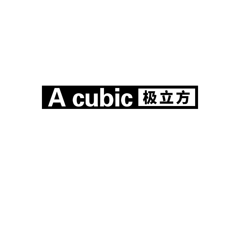 A CUBIC 极立方
