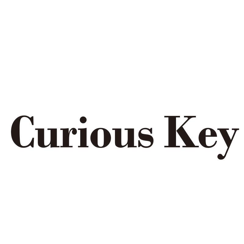 CURIOUS KEY