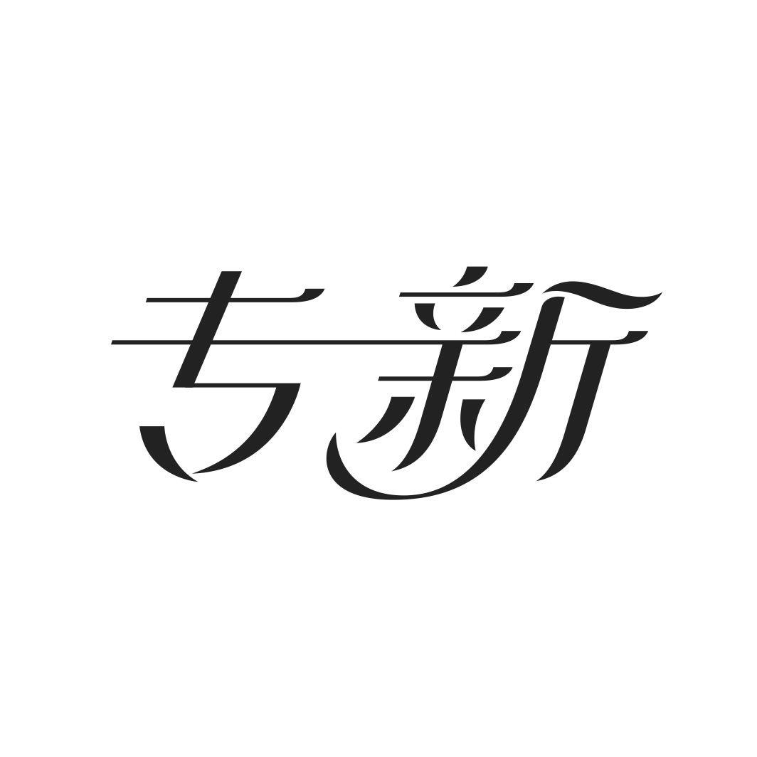 专新