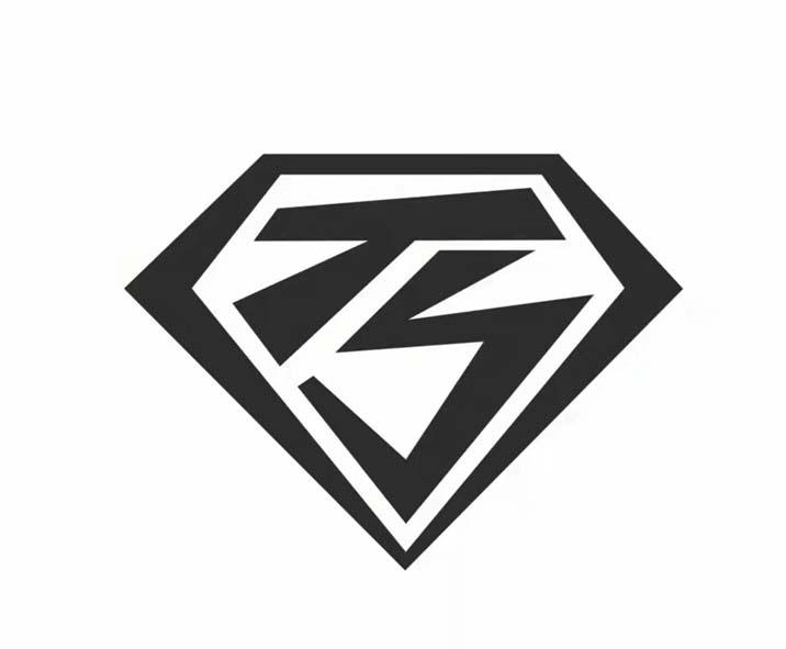 TS