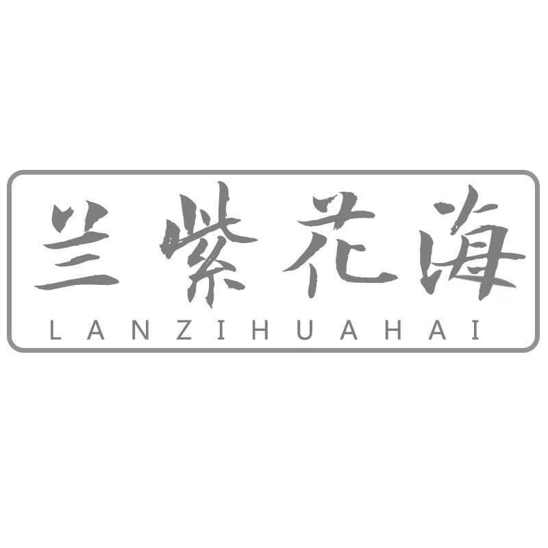 兰紫花海
