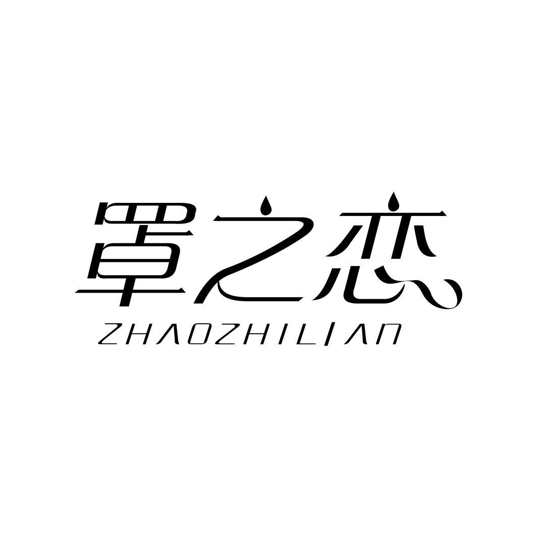 罩之恋