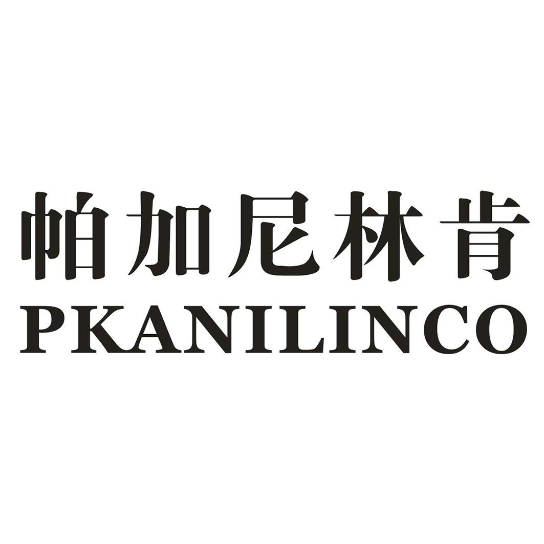 帕加尼林肯 PKANILINCO