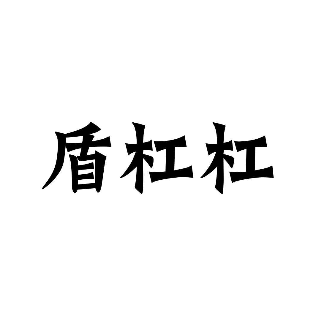 盾杠杠