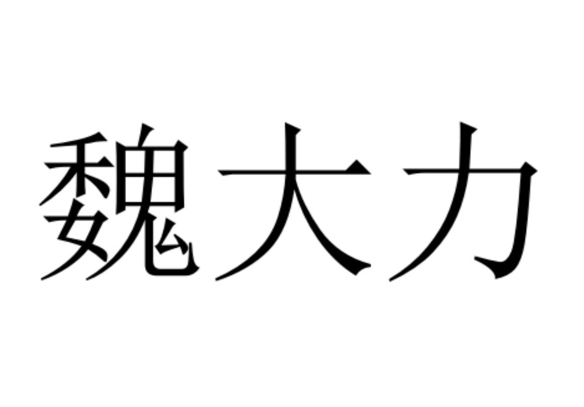 魏大力