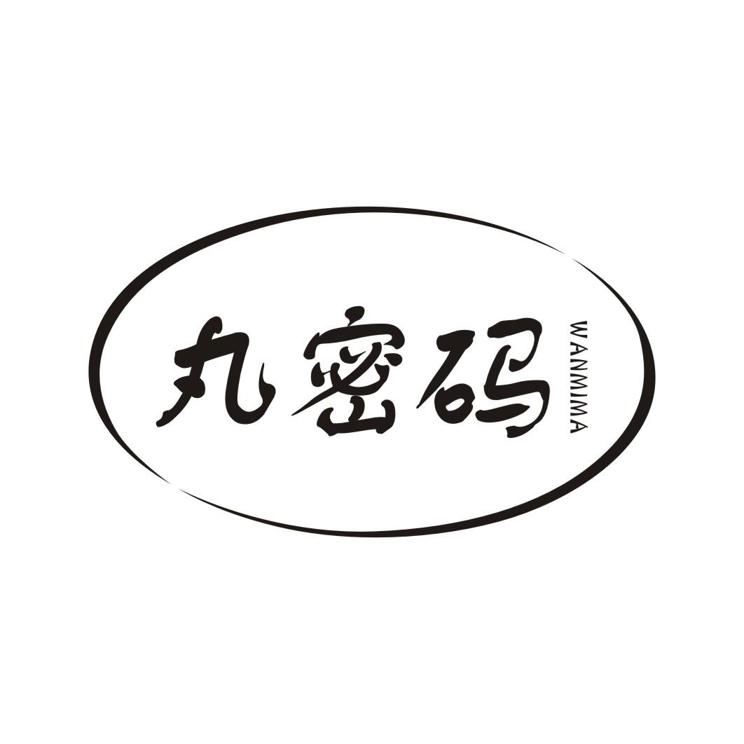 丸密码