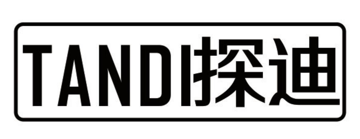 探迪
