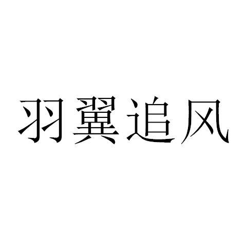 羽翼追风