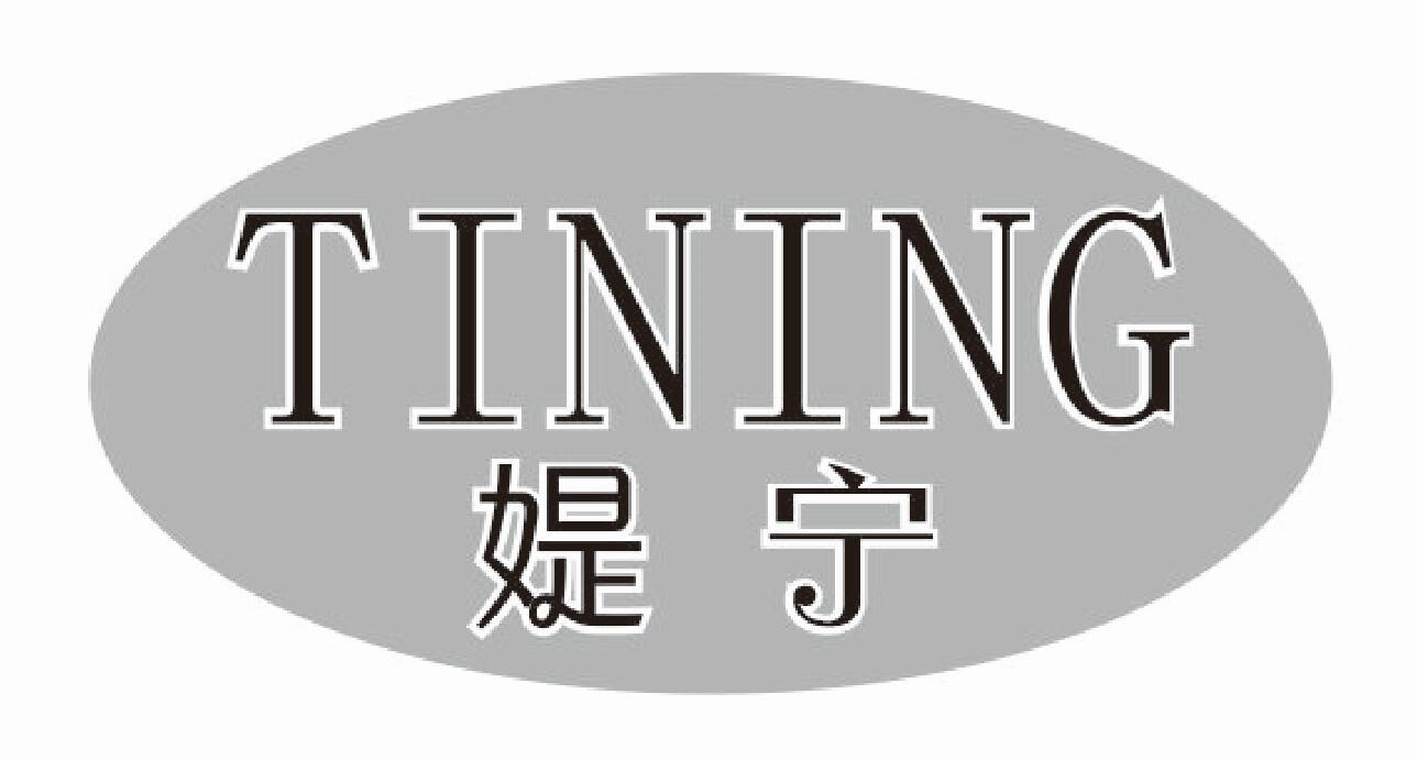 媞宁