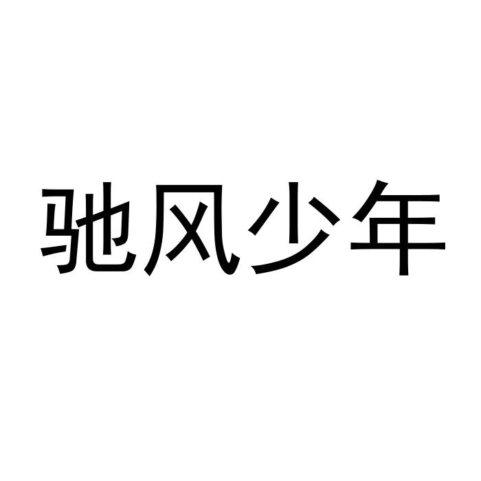 驰风少年