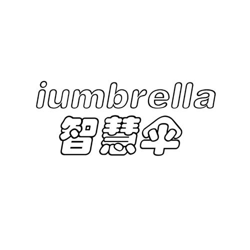 IUMBRELLA 智慧伞