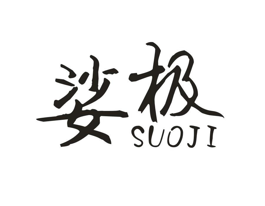 娑极