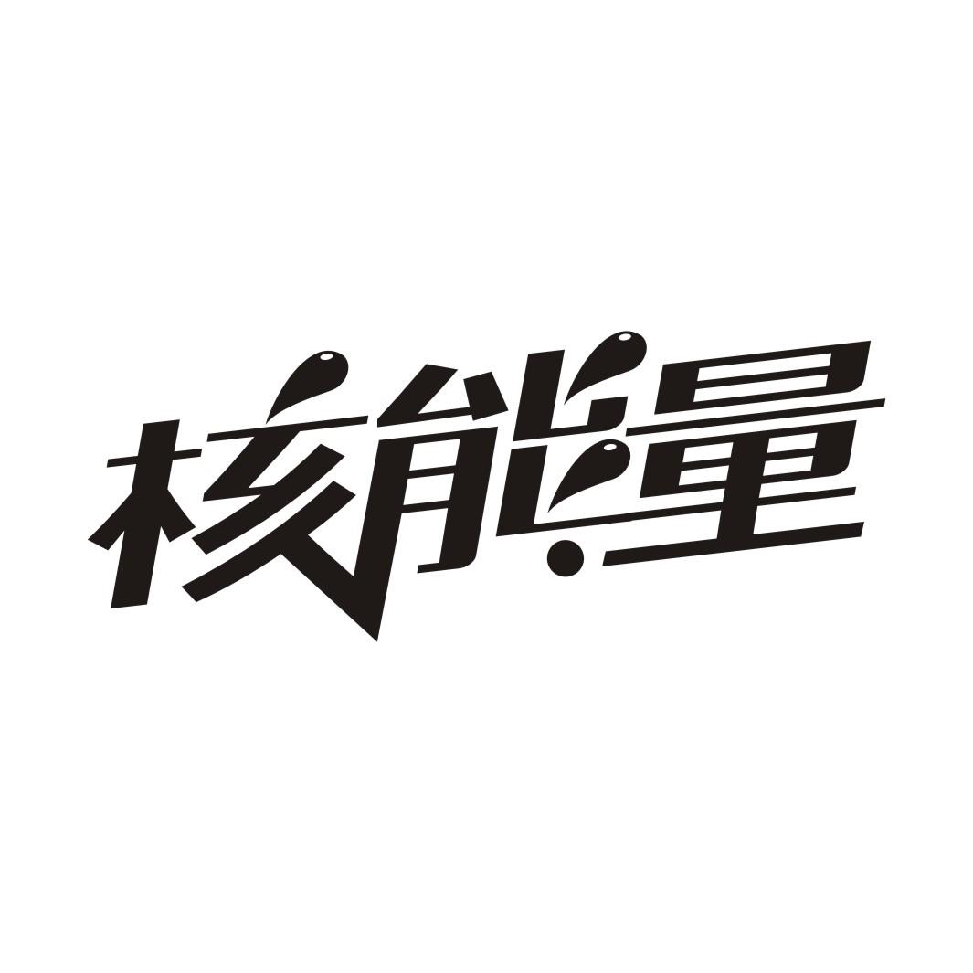 核能量