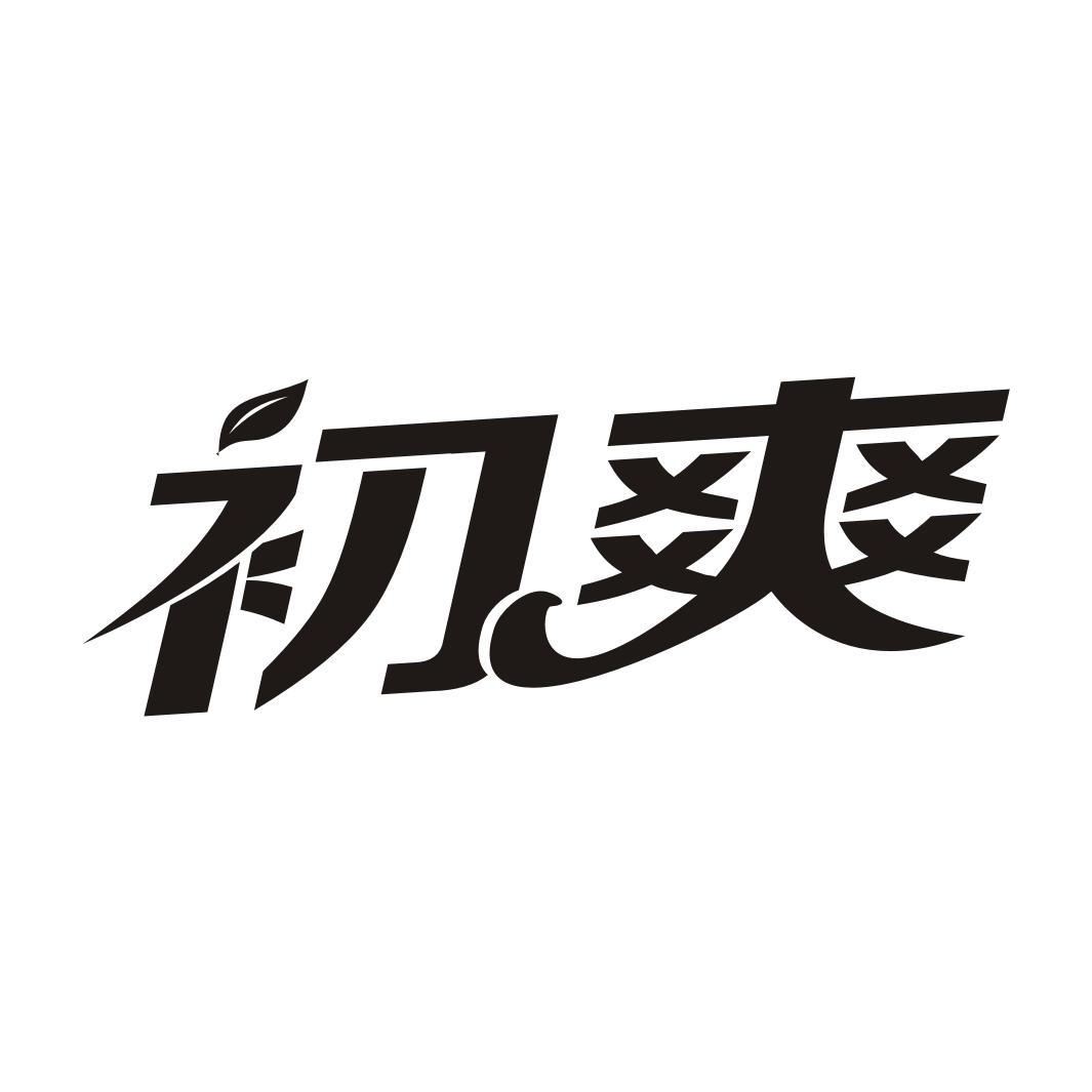 初爽