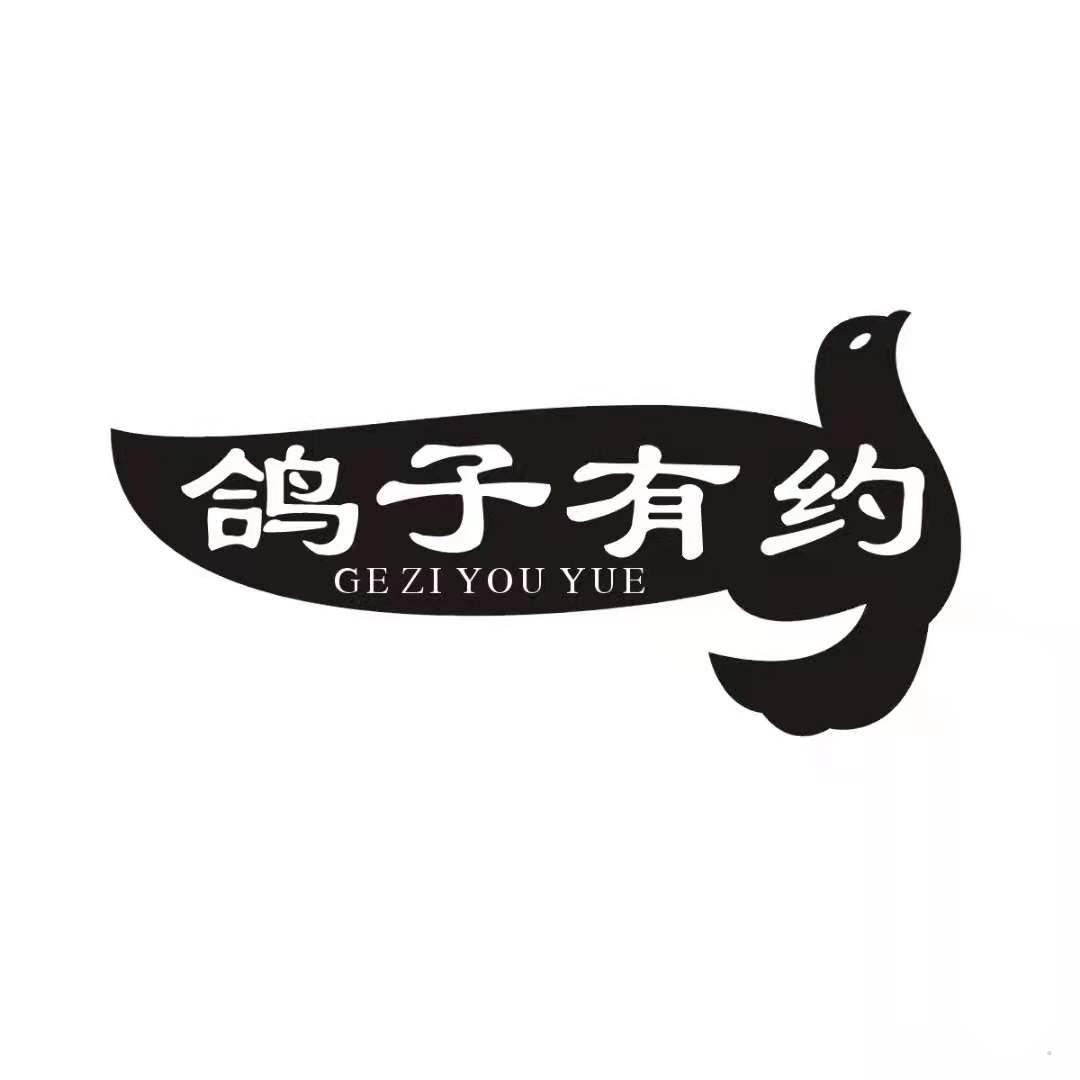 鸽子有约