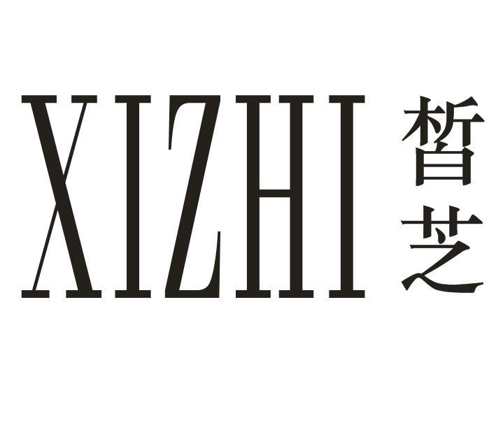 皙芝