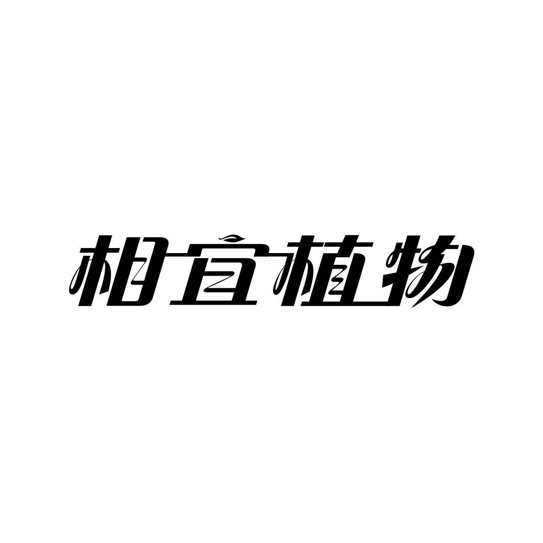 相宜植物