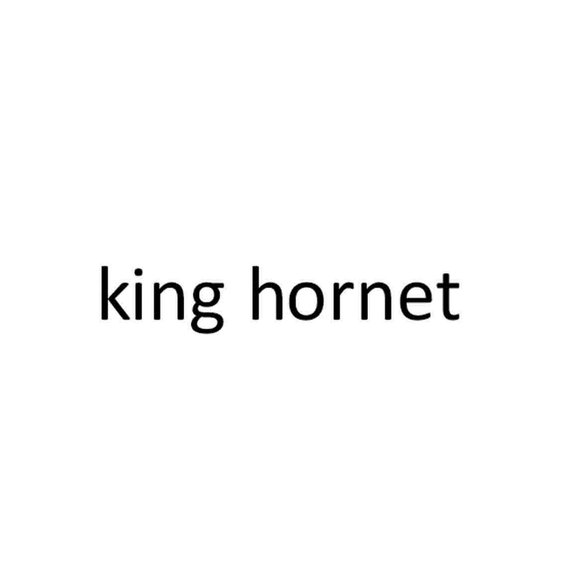 KING HORNET