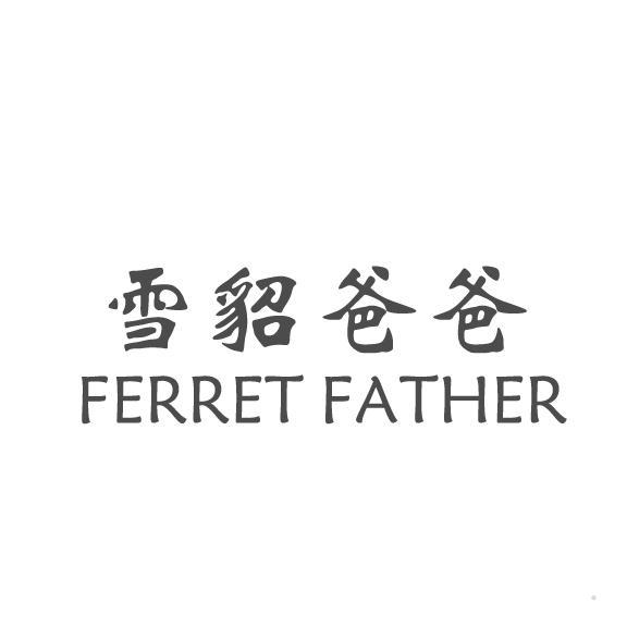 雪貂爸爸 FERRET FATHER