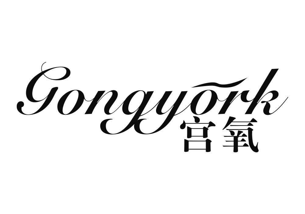 宫氧 GONGYORK