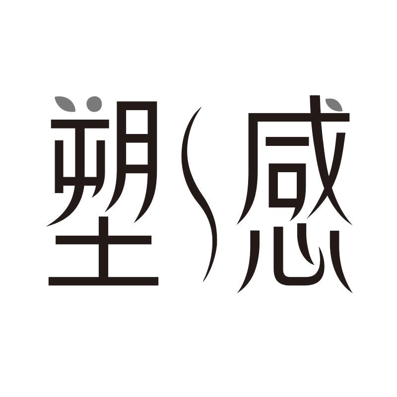 塑感