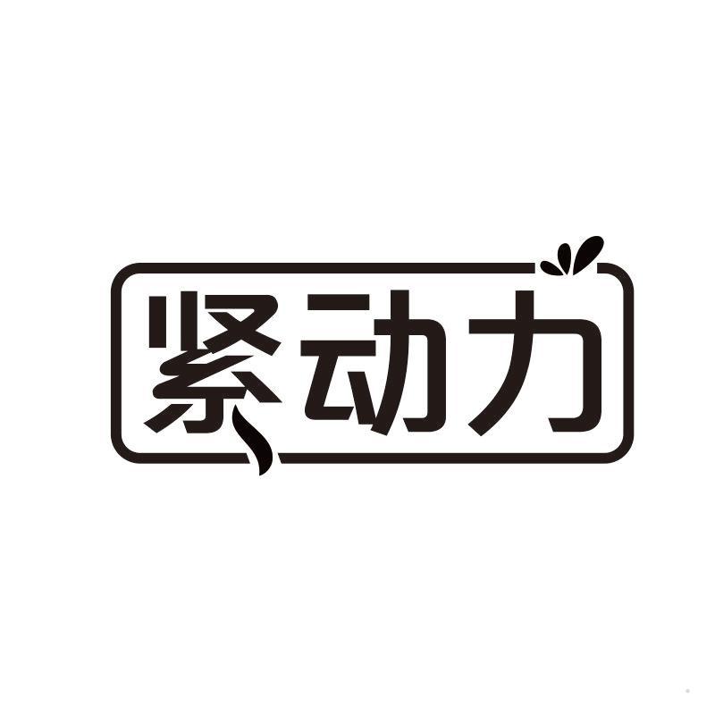 紧动力