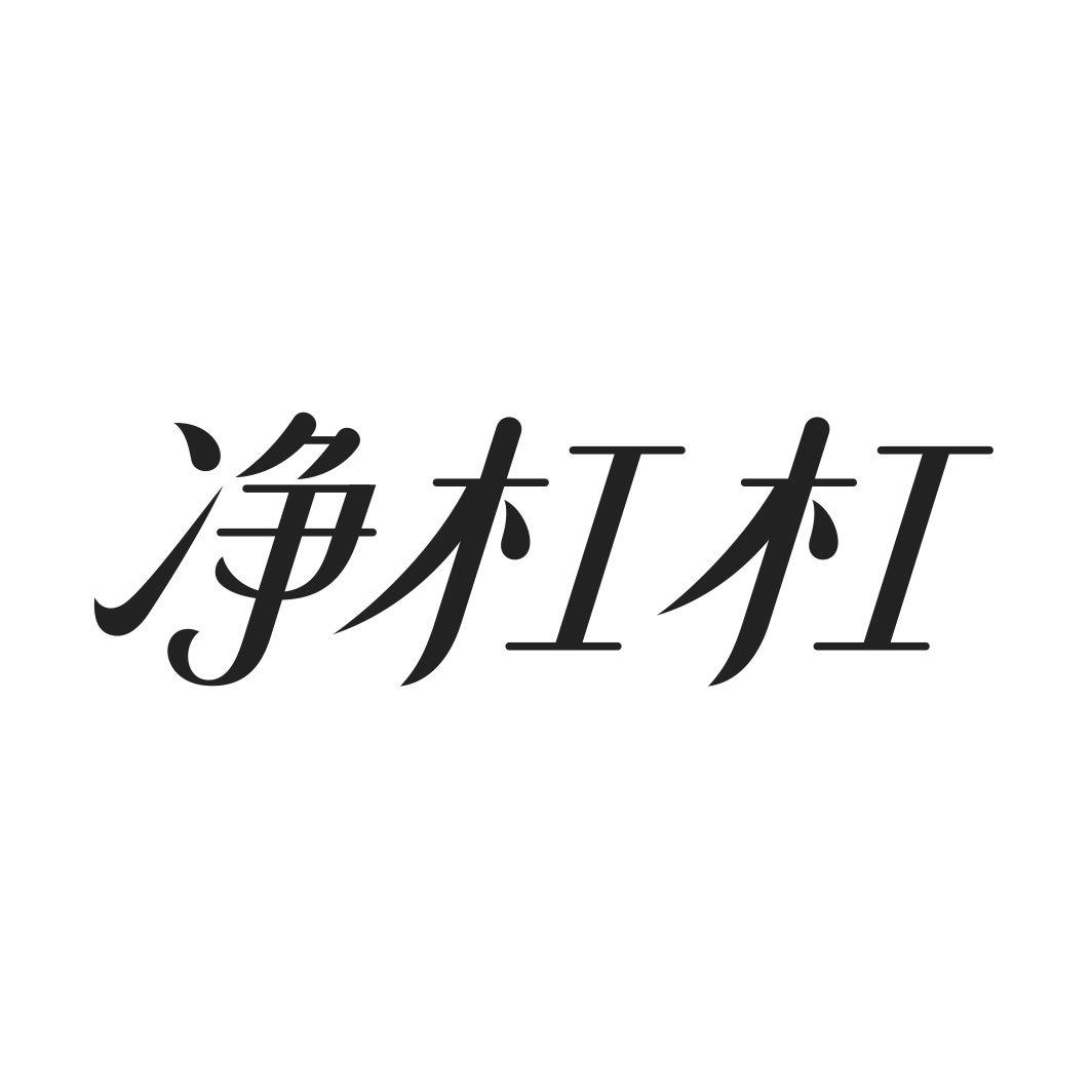 净杠杠
