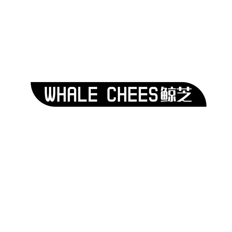 鲸芝 WHALE CHEES