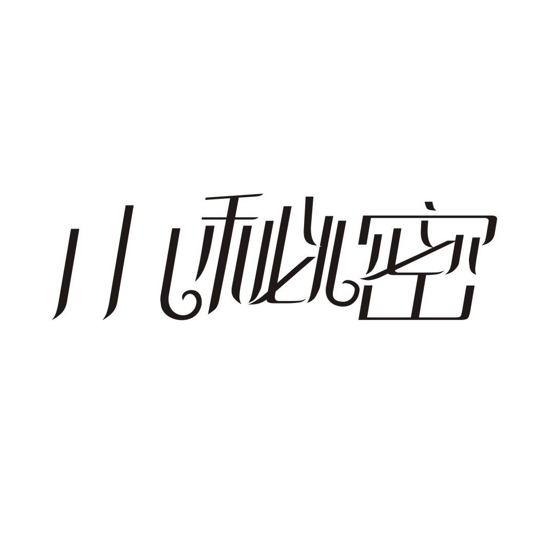 小秘密