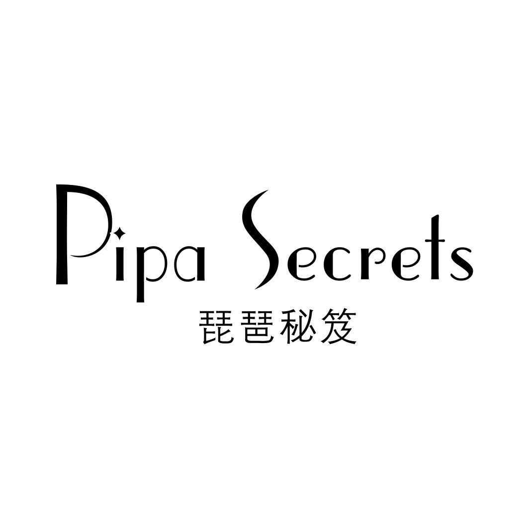 琵琶秘笈 PIPA SECRETS