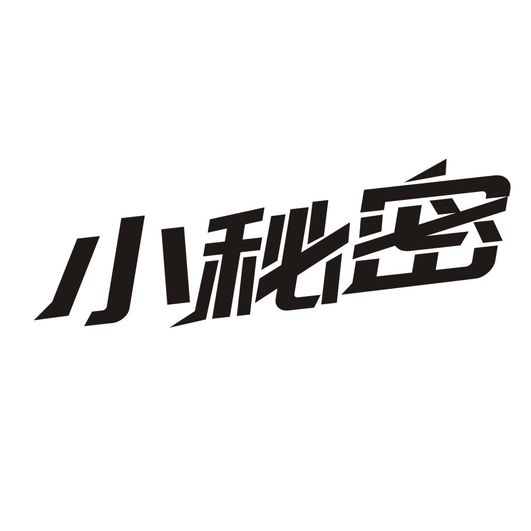 小秘密