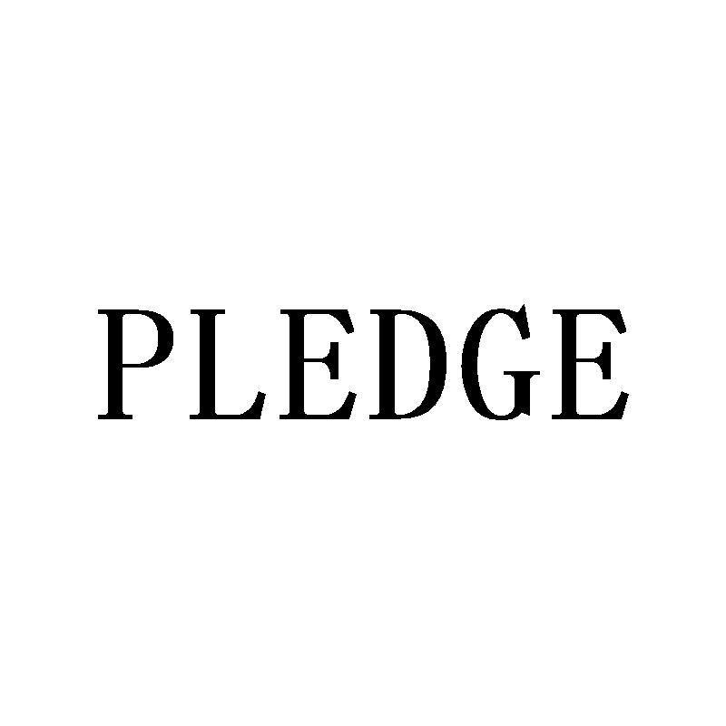 PLEDGE