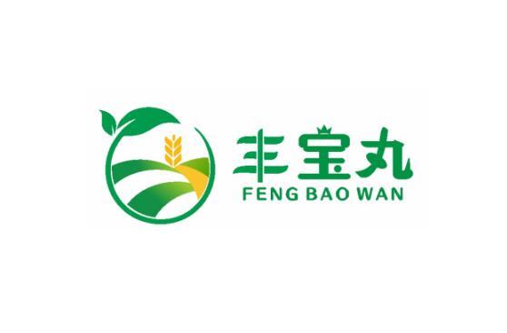 丰宝丸