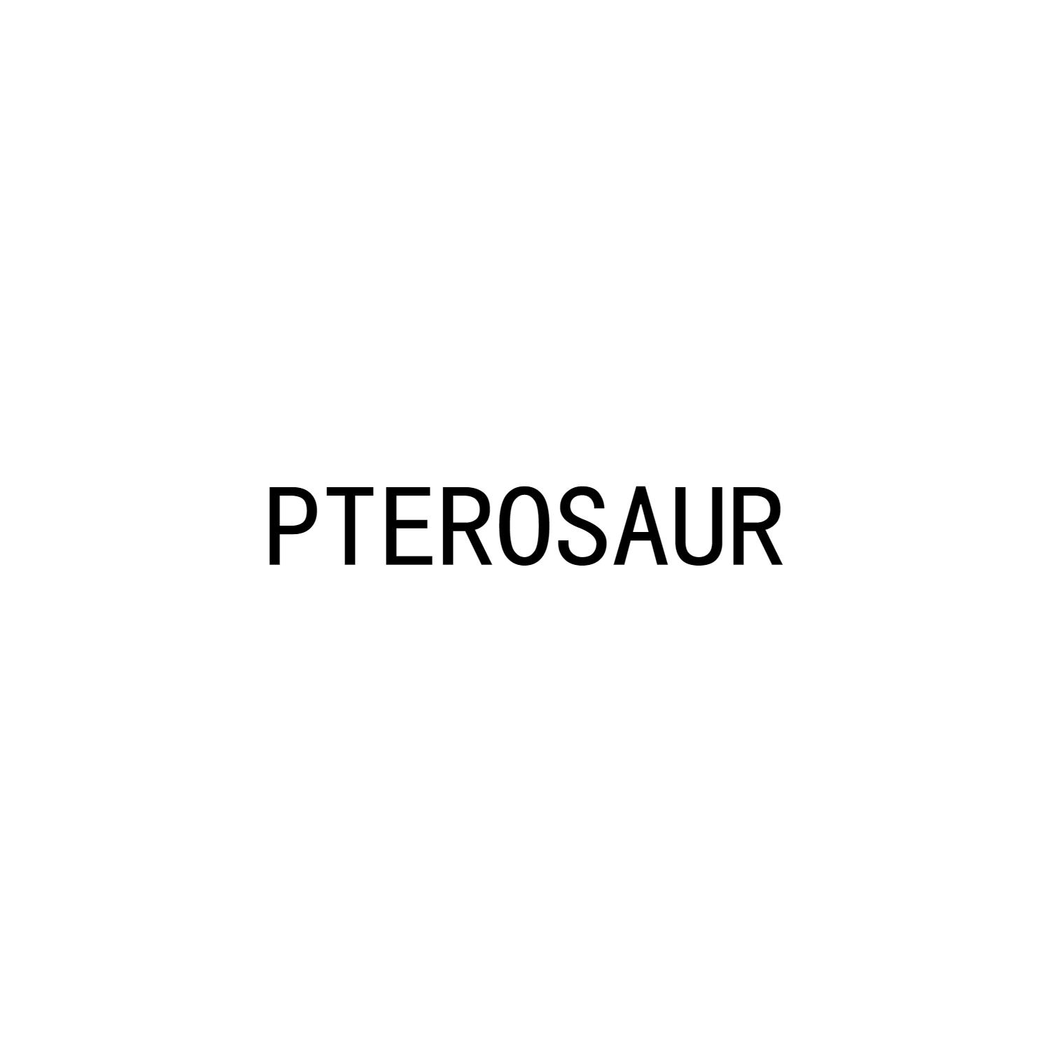 PTEROSAUR