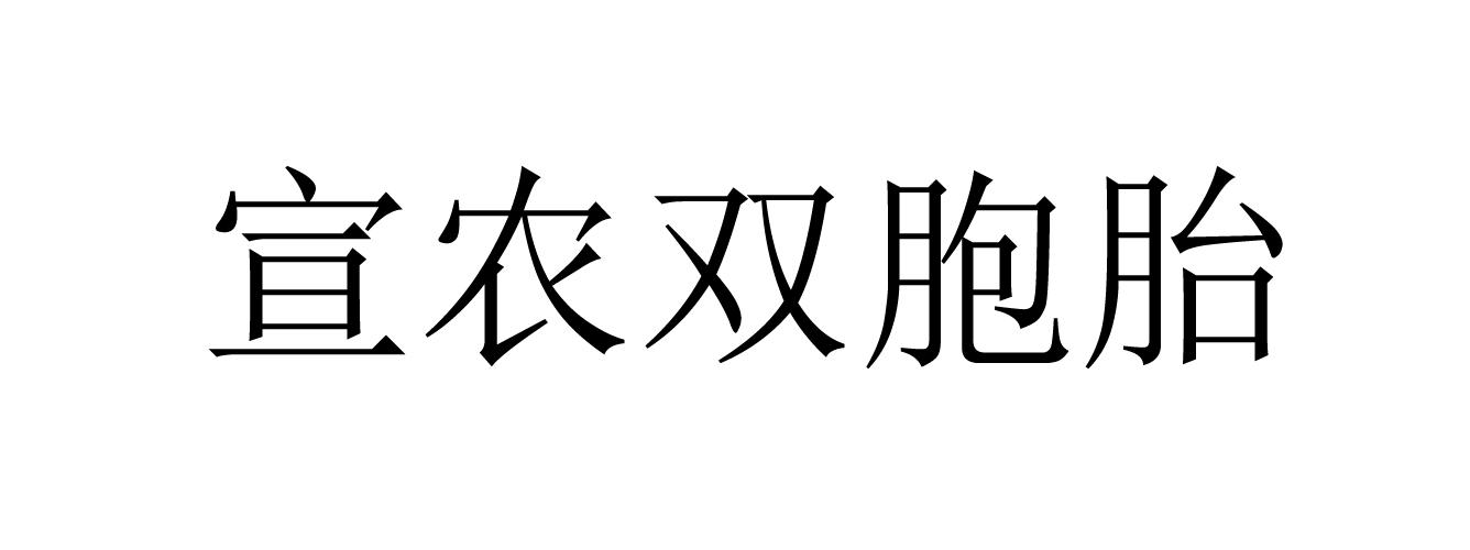 宣农双胞胎