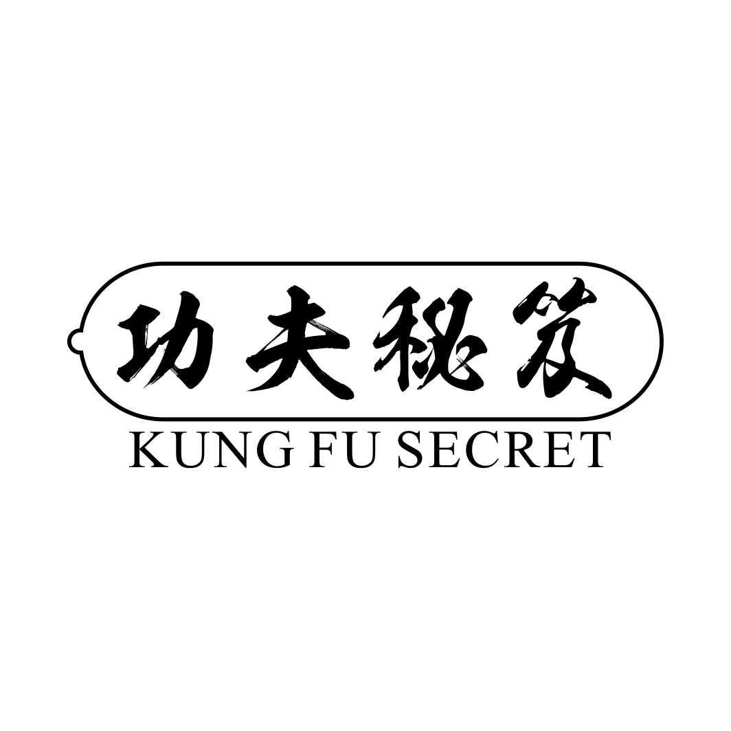 功夫秘笈 KUNG FU SECRET